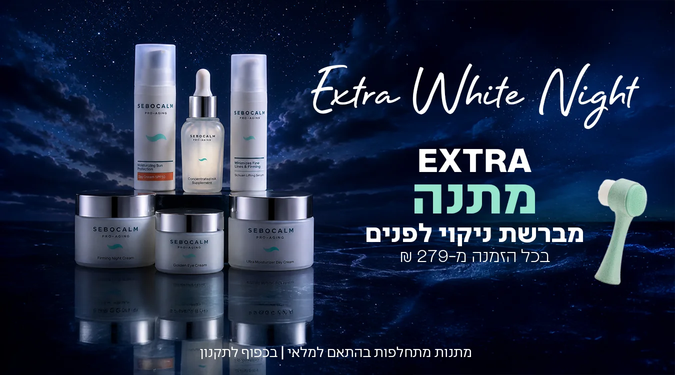 פלאש