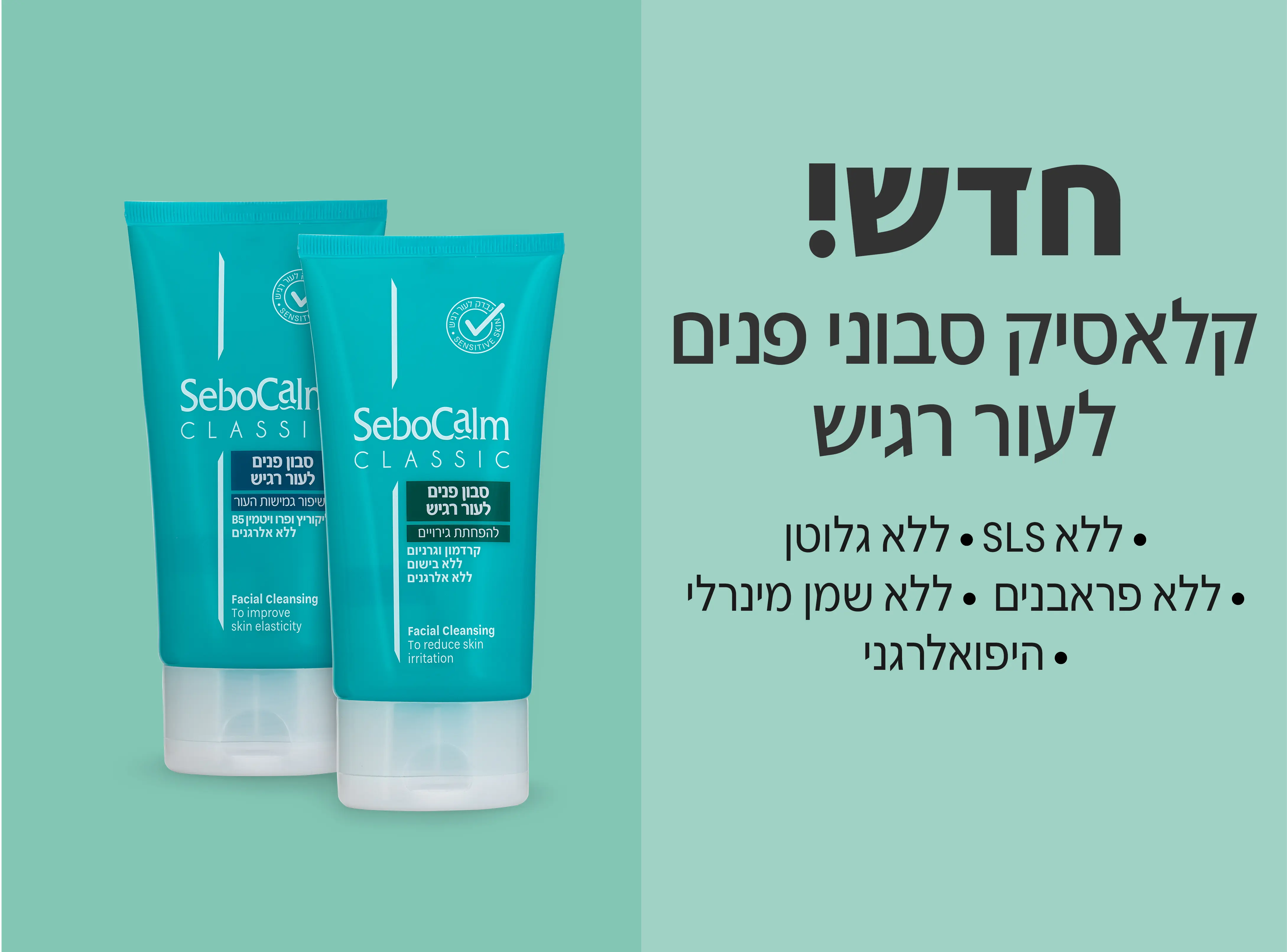 מתחם ההמלצות של דקל כץ
